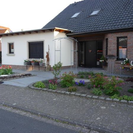 Gaestehaus Am Hermann Hörstel Zewnętrze zdjęcie